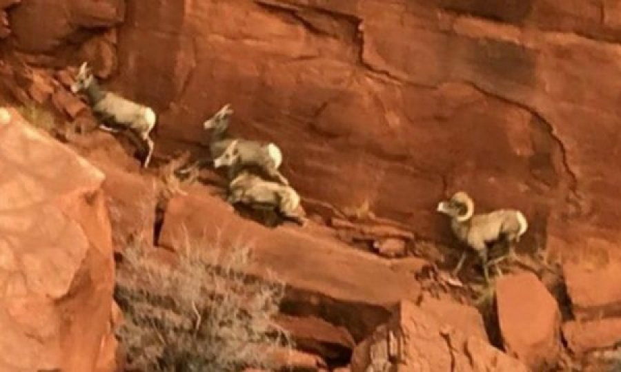 Në shkretëtirën e Utah gjendet një monolit metali misterioz
