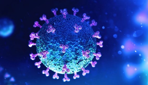Ky shtet shënon rekord të viktimave dhe rasteve me koronavirus