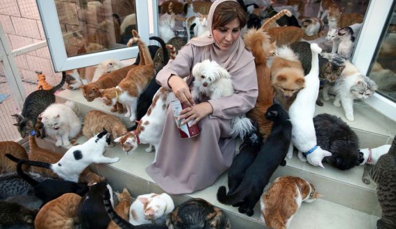 Kjo është gruaja që jeton me 500 mace dhe qen