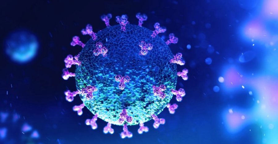 Ky shtet shënon rekord të viktimave dhe rasteve me koronavirus
