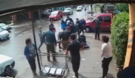 Lëvizte i lirë në rrugë, pitbulli sulmon 7-vjeçaren