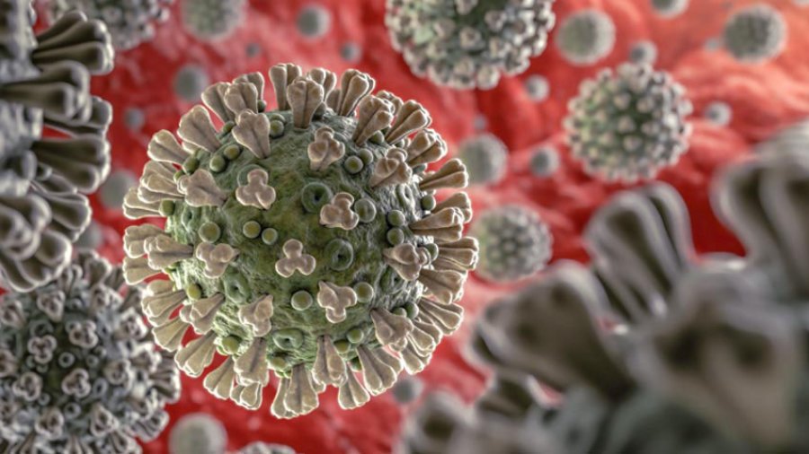 11 shtetet ku koronavirusi nuk ka mbërritur ende