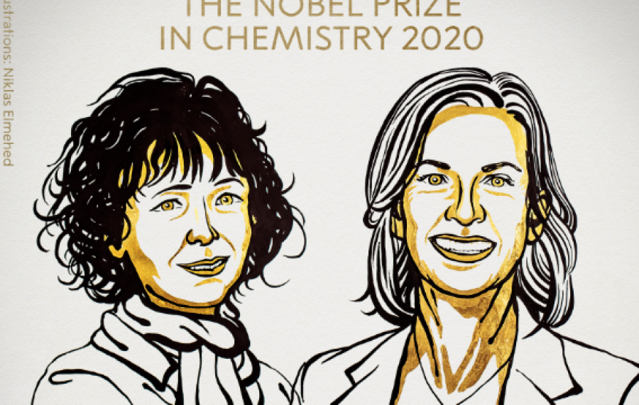 Çmimin Nobel për Kimi e fitojnë dy gra, zbuluan metodë precize për editimin e gjeneve