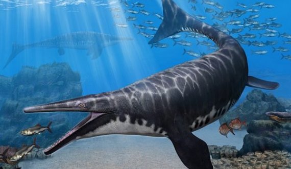 Jetoi më shumë se 66 milionë vjet më parë, zbulohet një specie e re