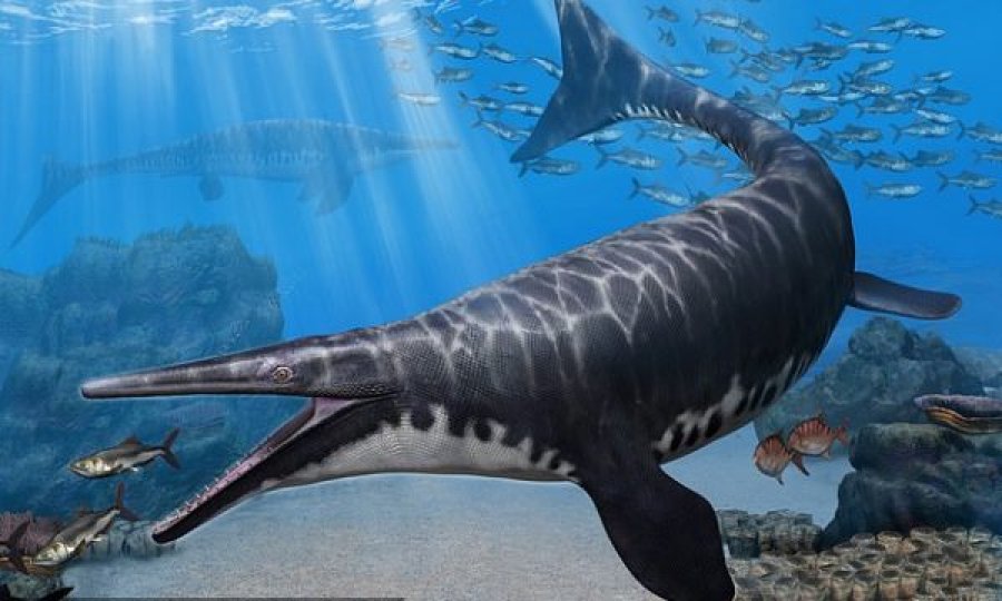 Jetoi më shumë se 66 milionë vjet më parë, zbulohet një specie e re