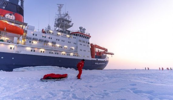 Zbulime rrëqethëse pas kthimit në shtëpi të anijes së Arktikut