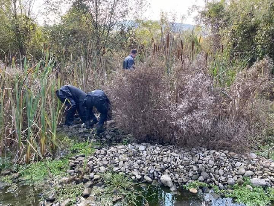 Trupi i një gruaje që u vra nga burri në Vushtrri, është varrosur në territorin e Mitrovicës