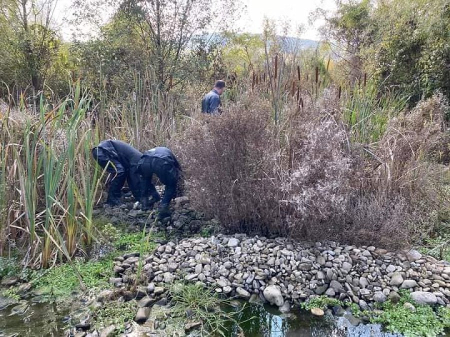 Trupi i një gruaje që u vra nga burri në Vushtrri, është varrosur në territorin e Mitrovicës