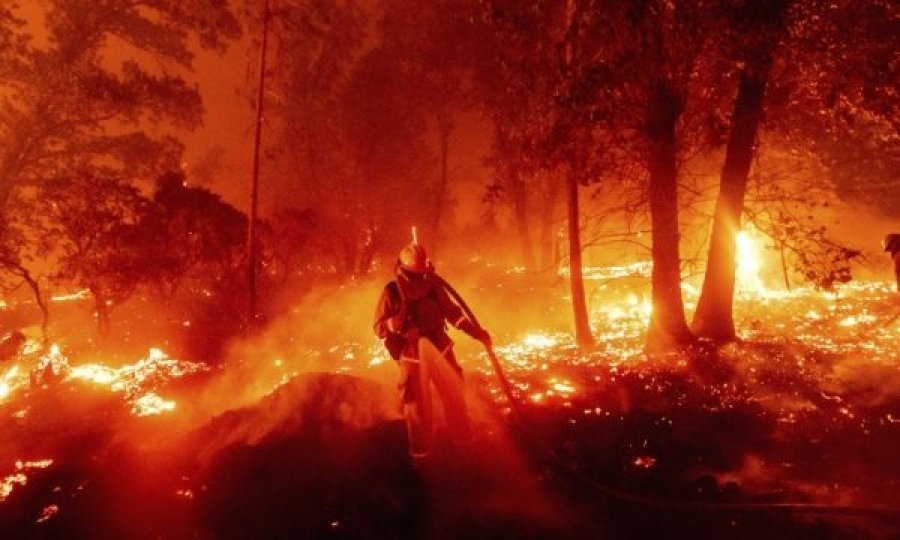 Zjarret në Kaliforni, evakuohen 90 mijë banorë