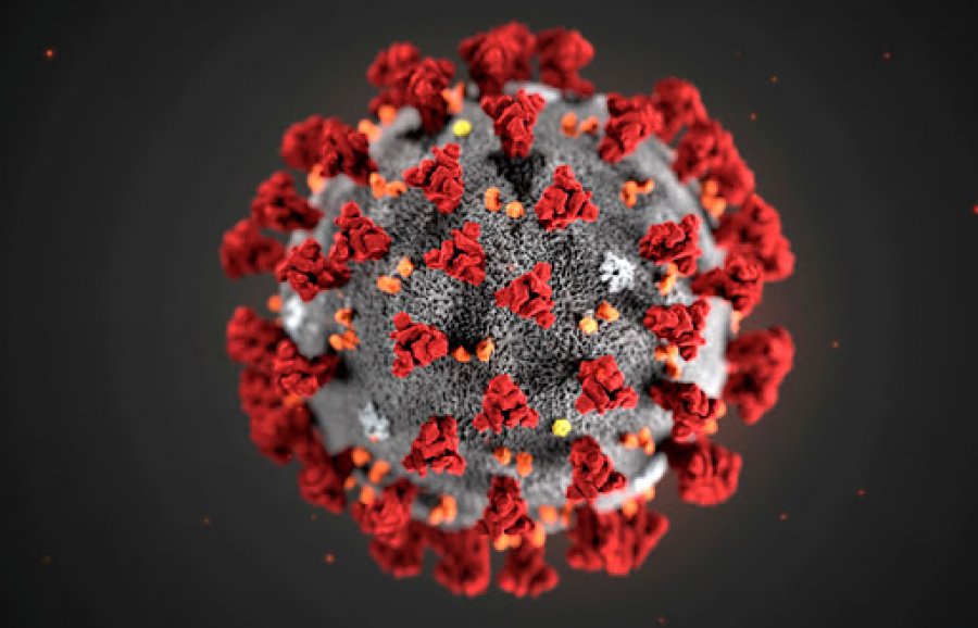 Studim: Shërimi nga koronavirusi mund të zgjasë më shumë se një muaj