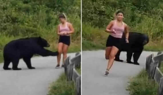 Moment i tmerrit kur ariu i zi shfaqet papritur e godet me kthetra vrapuesen në park