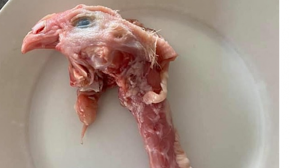 Porositi qafë pulash në dyqan, i erdhi edhe koka e pulës me vete – gruaja nga Australia mbetet e shokuar