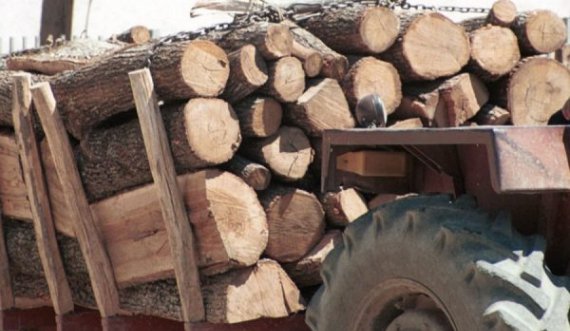 Vjeshta po afrohet, sa kushton një metër dru sivjet në Kosovë
