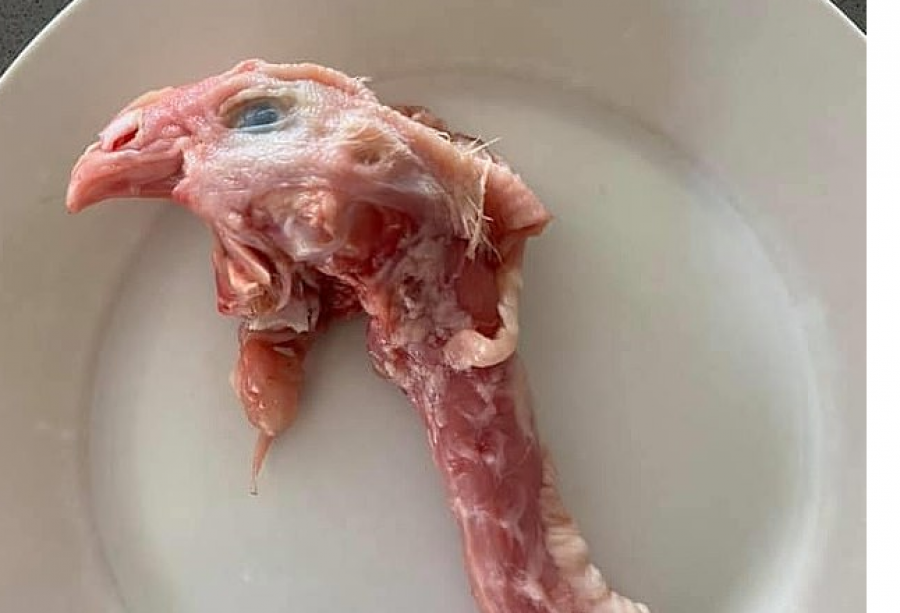 Porositi qafë pulash në dyqan, i erdhi edhe koka e pulës me vete – gruaja nga Australia mbetet e shokuar