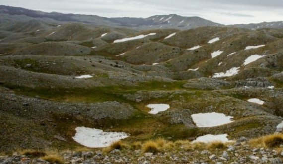 Zbardhet vrasja e 2012, si u ekzekutua me plumb kokës 23 vjeçarja nga i ati dhe vëllai