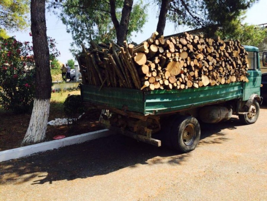 Ngarkonin kamionin me dru, tre persona kanosin me kaçavidë zyrtarin e zonave të mbrojtura