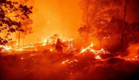 Mbi 8 mijë kilometra katrorë të përfshirë nga zjarret në Kaliforni, rekord që prej vitit 1987