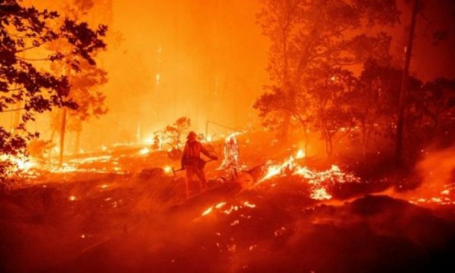 Mbi 8 mijë kilometra katrorë të përfshirë nga zjarret në Kaliforni, rekord që prej vitit 1987