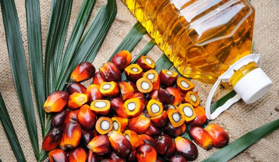 Ministri Krasniqi tregon arsyet që çuan në ndalimin e importit të vajit të palmës