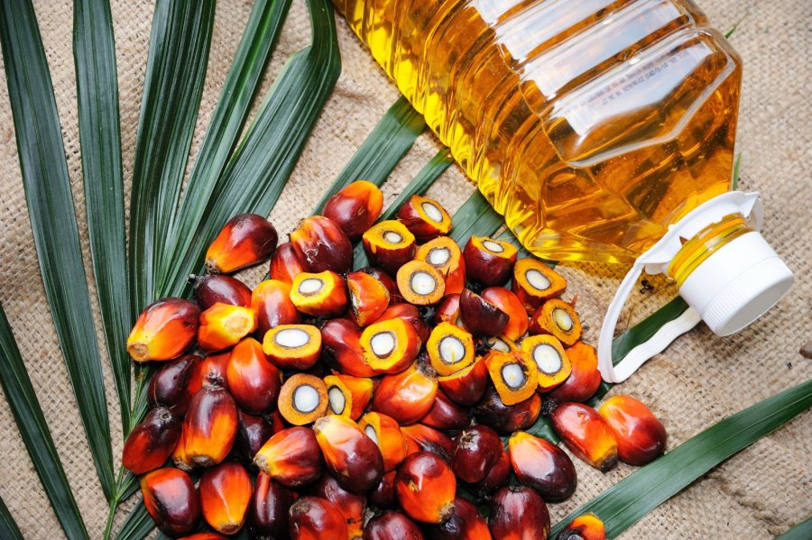 Ministri Krasniqi tregon arsyet që çuan në ndalimin e importit të vajit të palmës