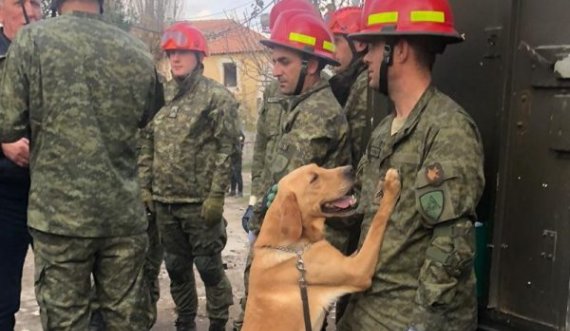 Ministria e Mbrojtjes u blen mbi 14 mijë euro ushqim qenve të FSK’së