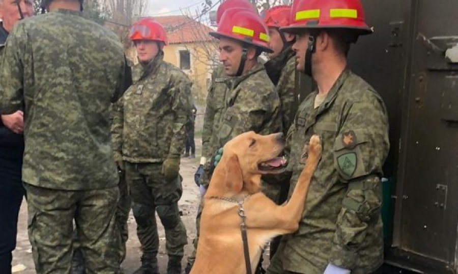 Ministria e Mbrojtjes u blen mbi 14 mijë euro ushqim qenve të FSK’së
