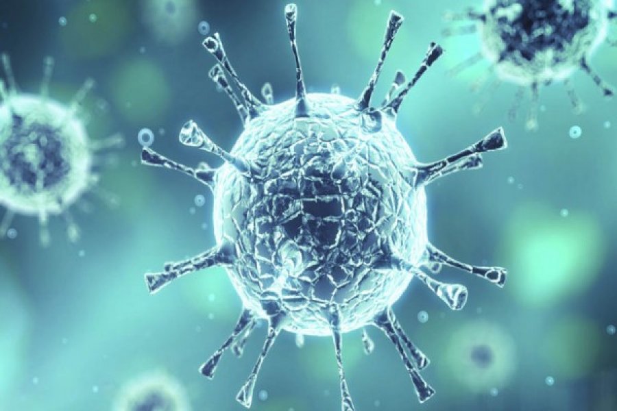 Evropa në alarm nga koronavirusi