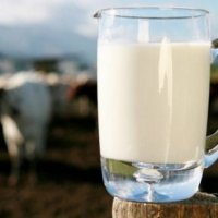 Katër ushqimet që shkrijnë shtresat dhjamore
