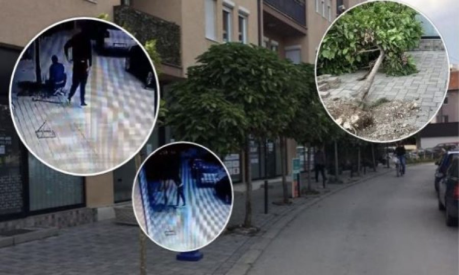 Dy vushtrriasë dënohen me nga 200 euro, shkulën drunjtë nga hapësira publike