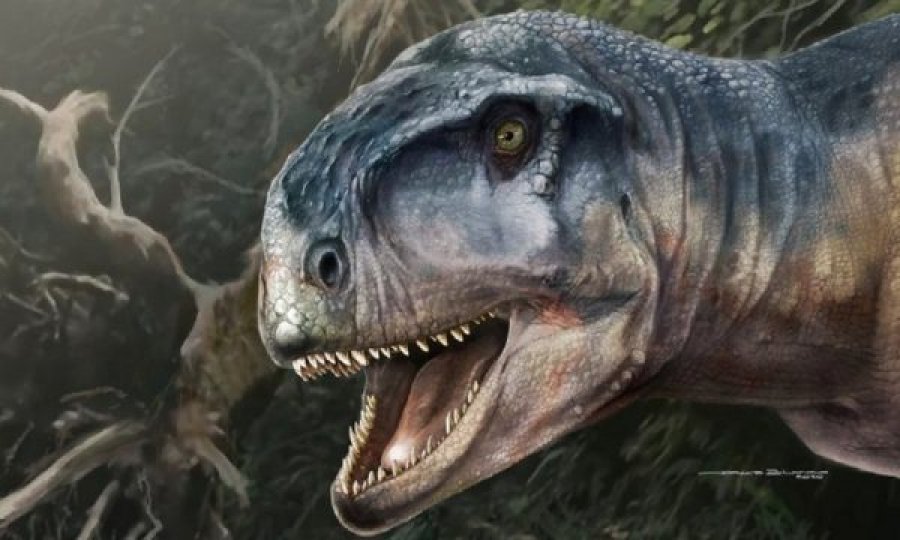  Gjendet kafka e dinosaurit “që shkakton frikë” 