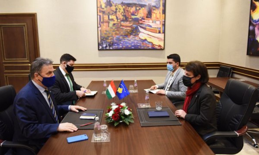  Ministrja Donika Gërvalla takon ambasadorin hungarez në Kosovë, diskutojnë për pandeminë COVID-19 