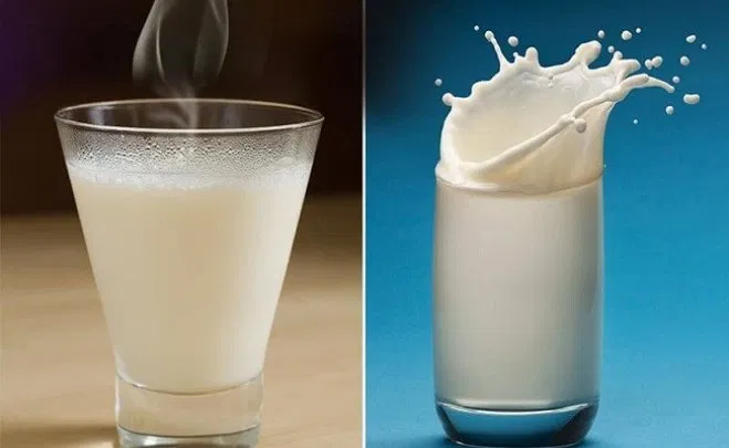 Qumështi i ftohtë apo qumështi i ngrohtë-kush është më i shëndetshëm?