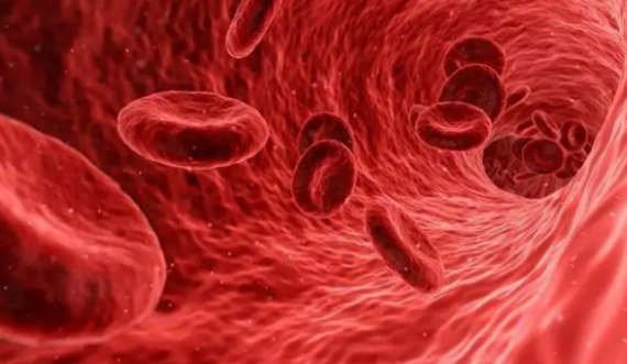  Si formohen mpiksjet e gjakut, trombet dhe si trajtohet tromboza 