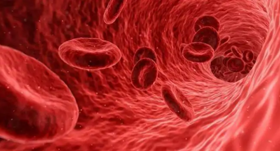  Si formohen mpiksjet e gjakut, trombet dhe si trajtohet tromboza 