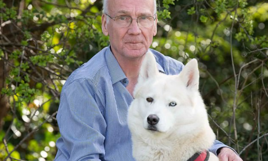  Qeni Husky e shpëton të porsalindurin e braktisur në një park në Britani 
