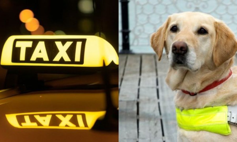  Shoferi i taksisë humb patentën pasi braktisi gruan e verbër me qenin udhëzues në një cep të rrugës 