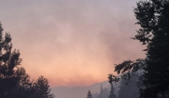  Zjarri kaplon pyjet në Shtime, Suharekë dhe Prizren 