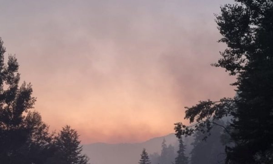 Zjarri kaplon pyjet në Shtime, Suharekë dhe Prizren 