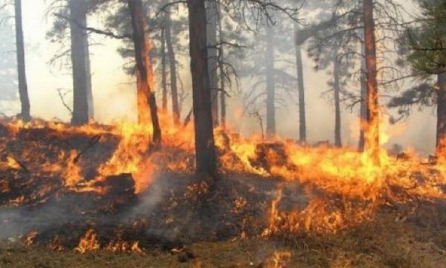 10 familje po rrezikohen në Shtupeq të Madh, zjarri po shuhet nga helikopteri