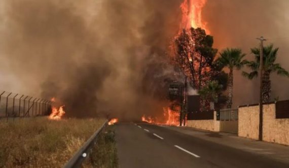 Del jashtë kontrollit zjarri në Greqi, bllokohen qindra banorë dhe zjarrfikës