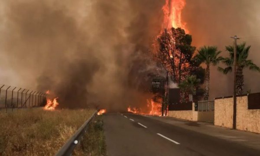 Del jashtë kontrollit zjarri në Greqi, bllokohen qindra banorë dhe zjarrfikës