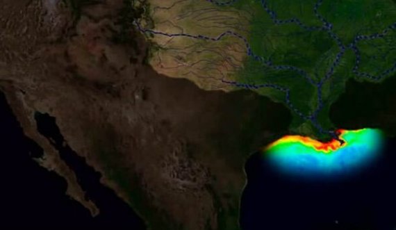 Shkencëtarët të shqetësuar për “zonën e vdekur” në Gjirin e Meksikës