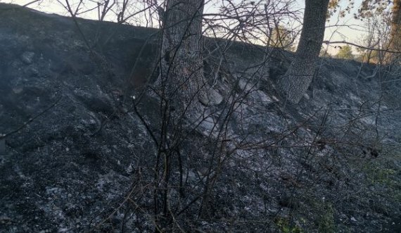  Policia jep detaje për vdekjen e një personi nga zjarret në Malishevë 