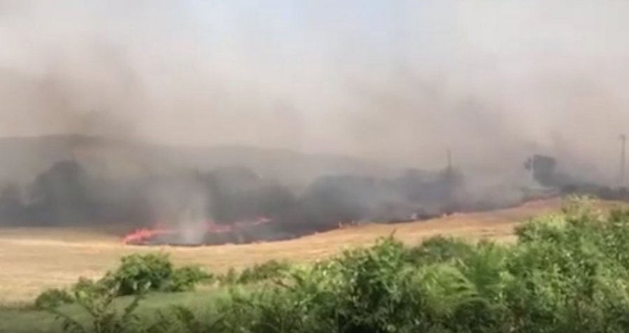 Zjarri afrohet shumë afër shtëpive në Nec të Gjakovës