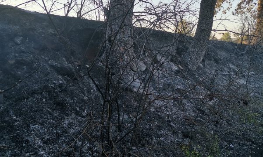  Policia jep detaje për vdekjen e një personi nga zjarret në Malishevë 
