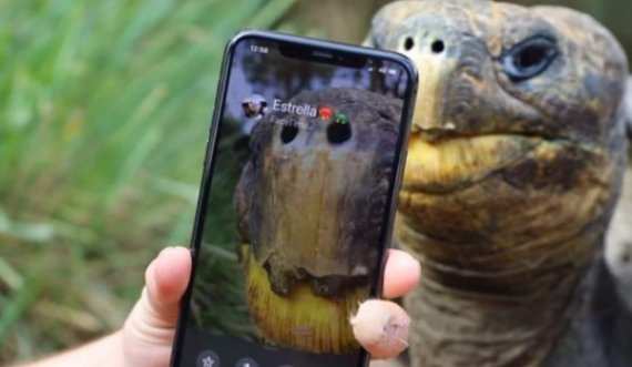  Dy breshka takohen për herë të parë në një video-telefonatë prej kufizimeve të COVID-19 