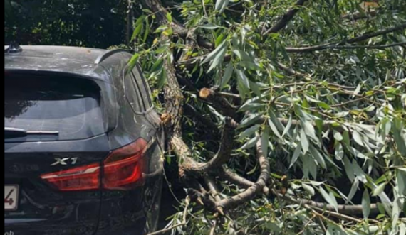  Fillon stuhia në Kosovë, era e fuqishme rrëzon disa pemë në afërsi të Spitalit të Pejës 