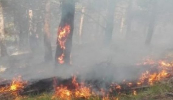 Zjarr në gjashtë vatra në Istog – dyshohet se mund të jetë ndezur qëllimshëm