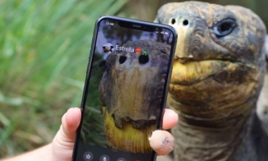  Dy breshka takohen për herë të parë në një video-telefonatë prej kufizimeve të COVID-19 