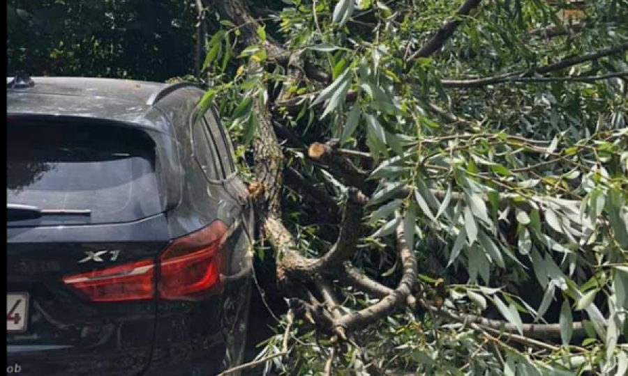  Fillon stuhia në Kosovë, era e fuqishme rrëzon disa pemë në afërsi të Spitalit të Pejës 